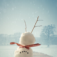 Buy canvas prints of Upside Down Snowman by Amanda Elwell