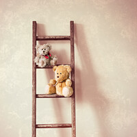 Buy canvas prints of Two Little Teddy Bears by Amanda Elwell