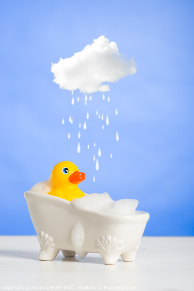 Duck Having A Bath Picture Board by Amanda Elwell