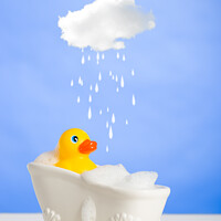 Buy canvas prints of Duck Having A Bath by Amanda Elwell