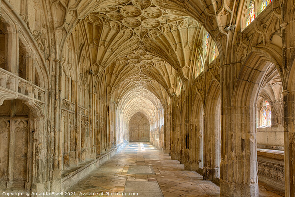 Gloucester Cathedral Cloisters Picture Board by Amanda Elwell