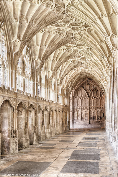 Gloucester Cathedral Cloisters Picture Board by Amanda Elwell