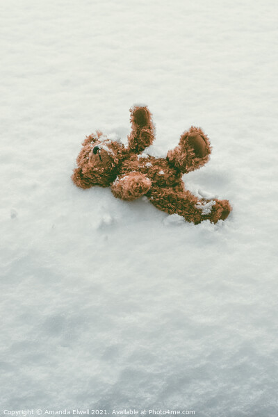 Teddy Bear In Snow Picture Board by Amanda Elwell