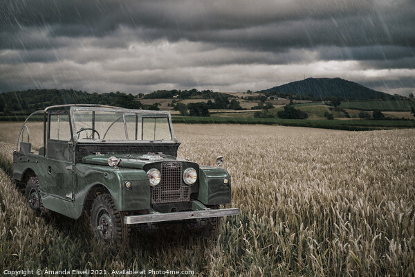 Vintage Land Rover in Field Picture Board by Amanda Elwell