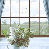 Buy canvas prints of Country Window by Amanda Elwell