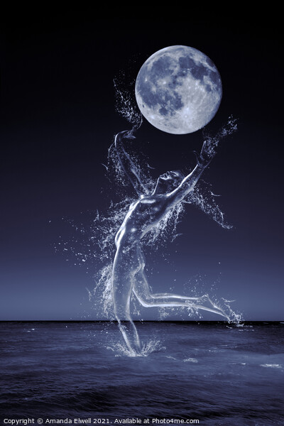 Dancer In Moonlight Picture Board by Amanda Elwell
