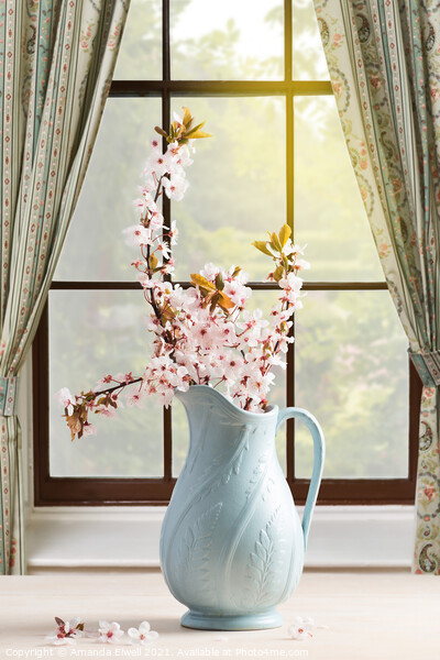 Vase Of Spring Blossom Picture Board by Amanda Elwell