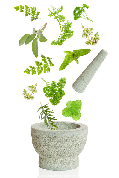 Pestle & Mortar Picture Board by Amanda Elwell