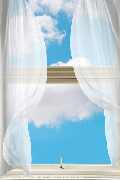 Billowing Voile Curtains Picture Board by Amanda Elwell