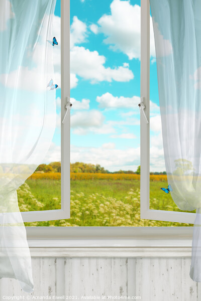 Open Country Window Picture Board by Amanda Elwell