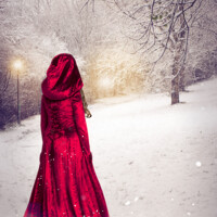 Buy canvas prints of Woman In Red Robes by Amanda Elwell