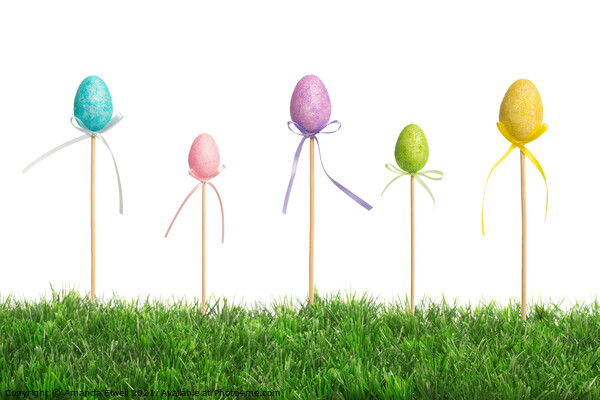 Easter Eggs In Grass Picture Board by Amanda Elwell