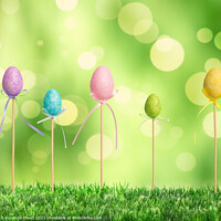 Buy canvas prints of Easter Eggs by Amanda Elwell