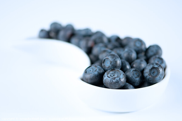 Dish Of Blueberries Picture Board by Amanda Elwell