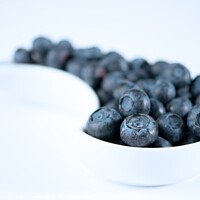 Buy canvas prints of Dish Of Blueberries by Amanda Elwell