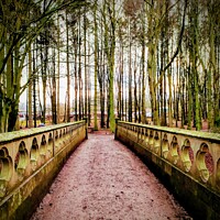 Buy canvas prints of River Bridge leading to the woods by Tina Veeranna