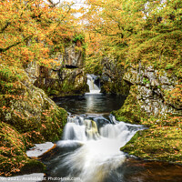 Buy canvas prints of Colours of Autumn  by Kevin Clayton