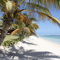 Buy canvas prints of Mauritius paradise beach by Gerard Peka
