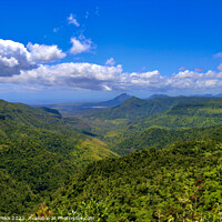 Buy canvas prints of Black River gorge  Mauritius by Gerard Peka