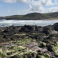 Buy canvas prints of Rock pools at Coldingham Bay, Scotland  by Melissa Theobald