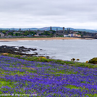 Buy canvas prints of St Andrews Bay, Fife, Scotland by Colin Baird