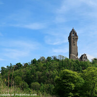 Buy canvas prints of Wallace Monument, Stirling by Colin Baird