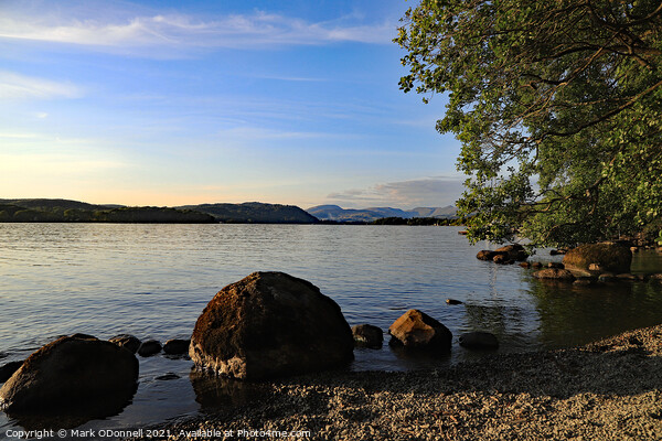 Windermere at evening Picture Board by Mark ODonnell