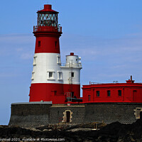 Buy canvas prints of Lighthouse Farne Islands by Mark ODonnell