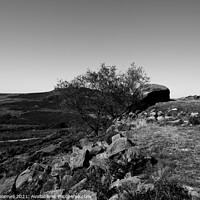 Buy canvas prints of Lone Tree in the Roaches by Mark ODonnell