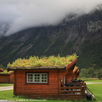 Buy canvas prints of Norway Holiday home by Mark ODonnell
