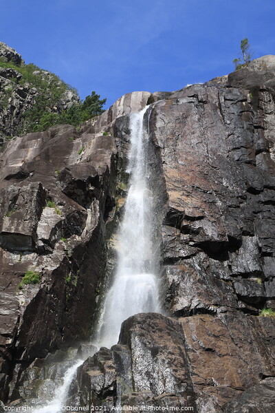 Norway waterfall  Picture Board by Mark ODonnell