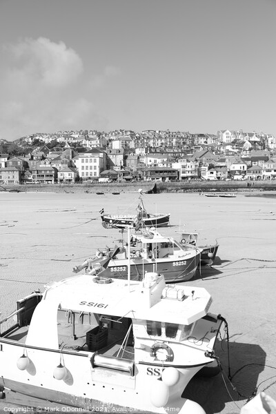 St Ives Harbour  Picture Board by Mark ODonnell