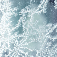 Buy canvas prints of Frost Fractal Patterns On A Pane Of Glass by Peter Greenway