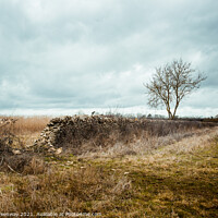 Buy canvas prints of Collapsed Dry Stone Wall In The Rural Oxfordshire Countryside by Peter Greenway