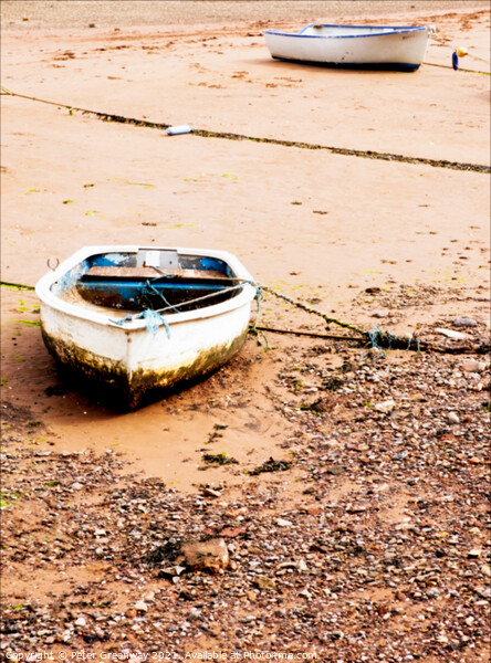 Moored Rowing Boats Beached At Low Tide In Shaldon, Devon Picture Board by Peter Greenway