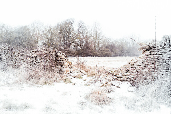 Crumbling stone wall in Winter Picture Board by Peter Greenway