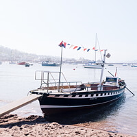 Buy canvas prints of Shaldon's Historic Pedestrain Ferry On Terignmouth's Back Beach by Peter Greenway