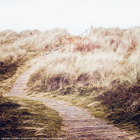 Buy canvas prints of Winding Path To Findhorn Beach, Scottish Highlands by Peter Greenway