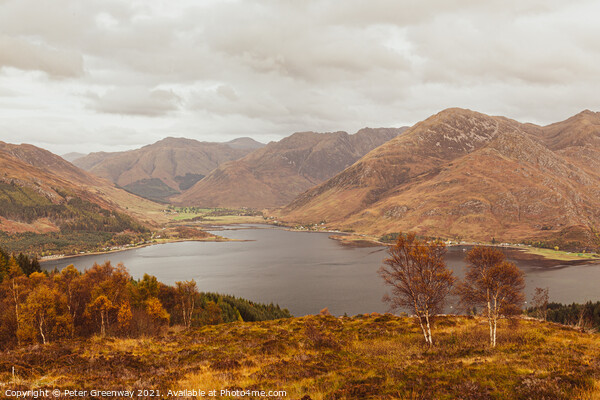 The 'Five Sisters' Viewpoint In The Scottish Highlands Picture Board by Peter Greenway