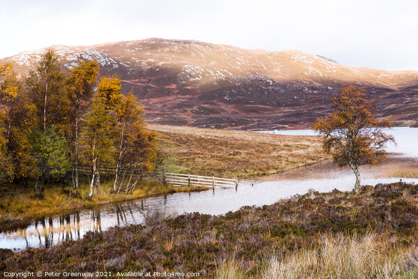 Loch Tarff at Autumn, Scottish Highlands Picture Board by Peter Greenway