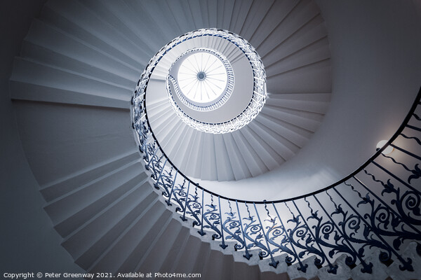Tulip Spiral Staircase, Queen's House in Greenwich Picture Board by Peter Greenway