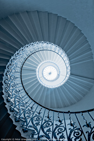 Tulip Spiral Staircase, Queen's House In Greenwich Picture Board by Peter Greenway