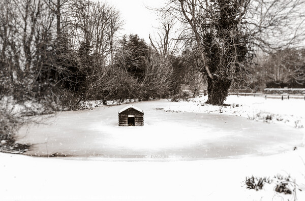 Frozen Village Duckpond & Duckhouse In Bucknell, O Picture Board by Peter Greenway