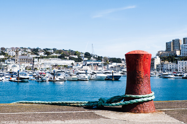 A Red Mooring Post At Torquay Marina, Devon Picture Board by Peter Greenway