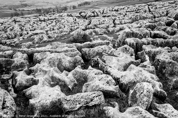 The Limestone Pavement On Top Of Malham Cove, York Picture Board by Peter Greenway