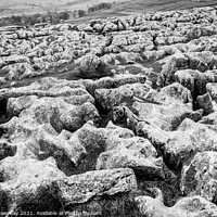 Buy canvas prints of The Limestone Pavement On Top Of Malham Cove, York by Peter Greenway