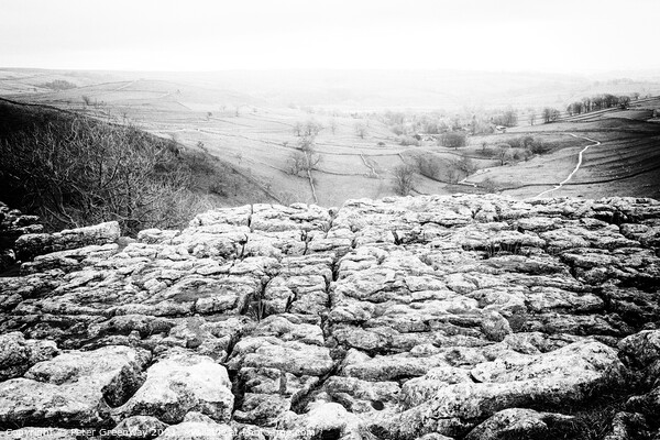 The Limestone Pavement On Top Of Malham Cove, York Picture Board by Peter Greenway