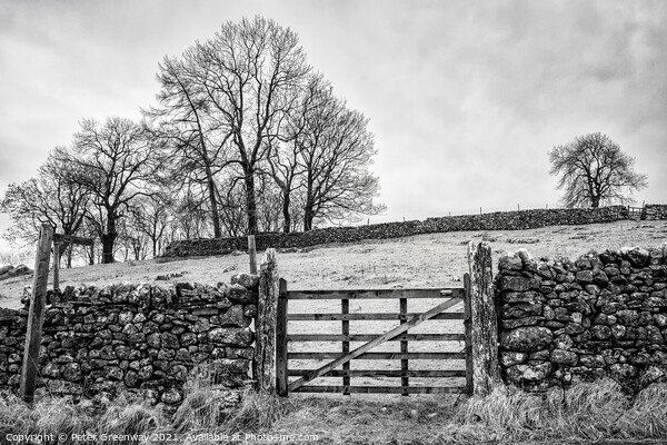 A Gated Field On A Cold & Frosty Morning At Malham Cove Picture Board by Peter Greenway