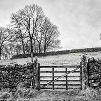 Buy canvas prints of A Gated Field On A Cold & Frosty Morning At Malham Cove by Peter Greenway