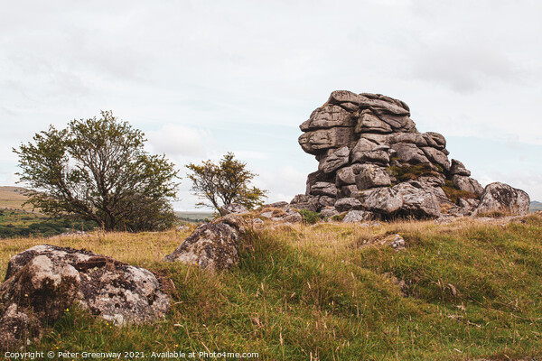 'Lion' Rock Tor, Dartmoor, Devon Picture Board by Peter Greenway